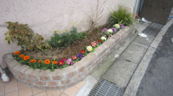 キレイに植えこまれた花壇